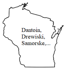 Image result for Wisconsin outline map